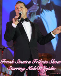 Frank Sinatra Tribute Show starring Nick DEgidio